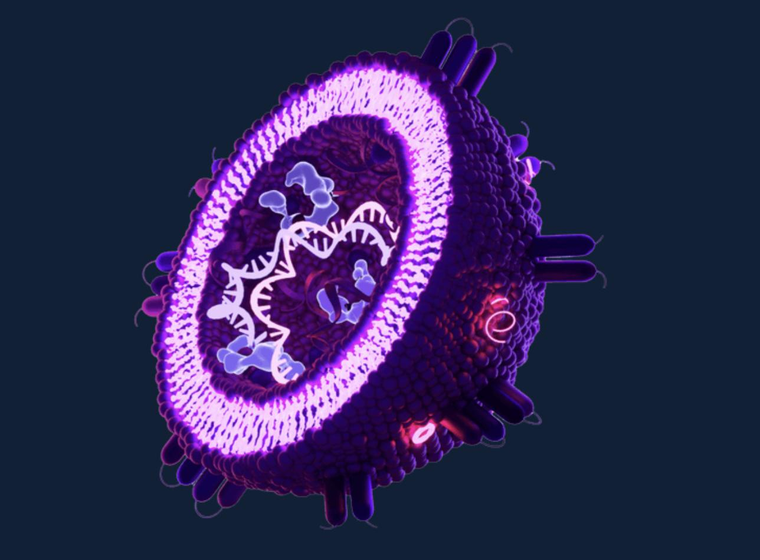 3D illustration of an extracellular vesicle (exosome), showing its lipid bilayer and internal cargo