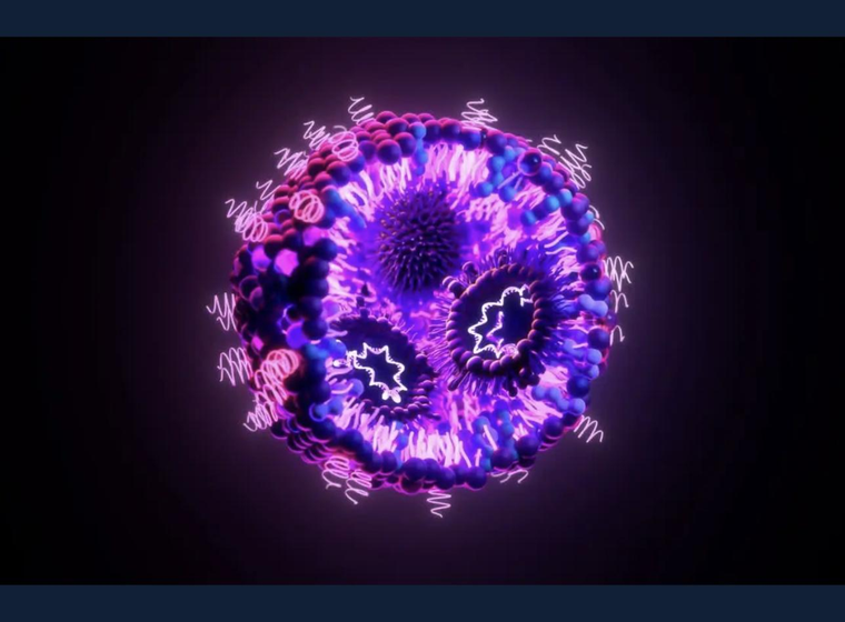 3D illustration of a lipid nanoparticle (LNP)